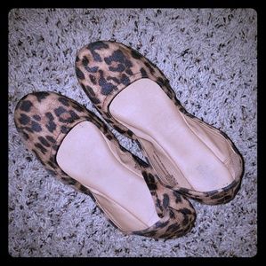 Cheeta Flats